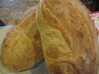 Pain Rustique